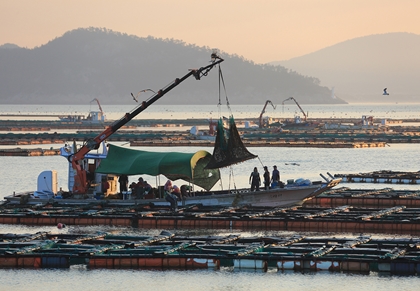 우성카고크레인 PC 이미지 4737784