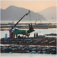 군산카고크레인-4737784